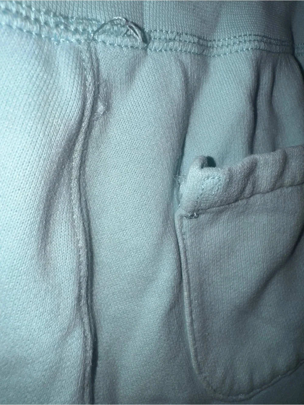 Polo by Ralph Lauren Mint Green Men’s Cotton Joggers